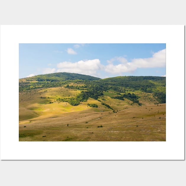 Summer Landscape Near Gornje Ratkovo, Bosnia Wall Art by jojobob